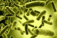 Study Links #AcuteMania With #Antibiotic Usage https://t.co/Nz70seDYSM by @PsychiatryAdv https://t.co/q4DgPZWgRi