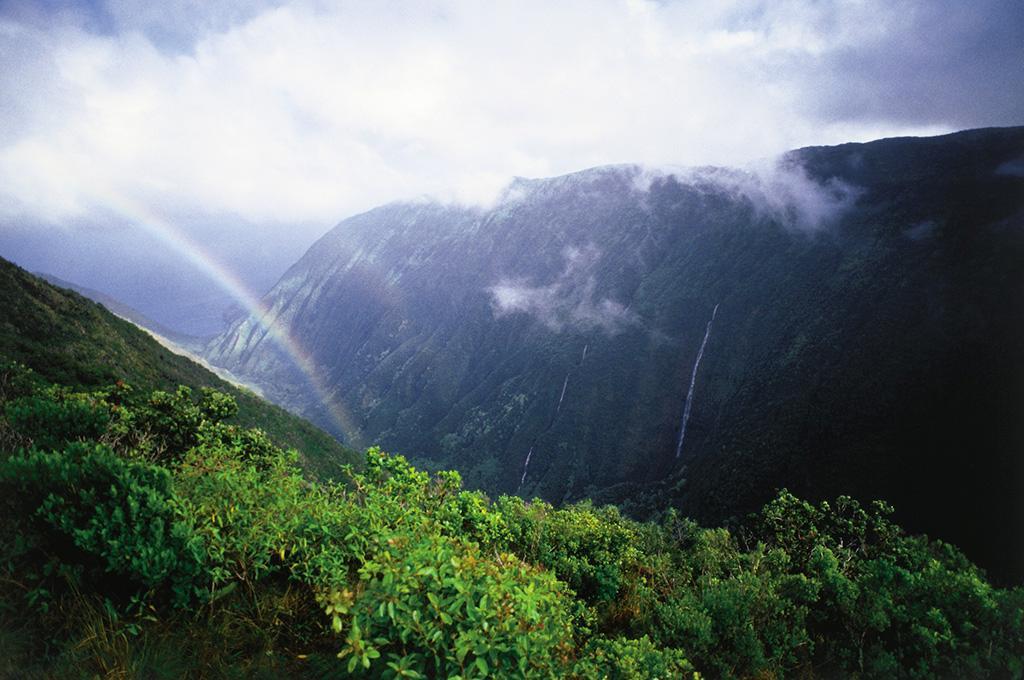 Here's our top hiking trails of Hawaii -