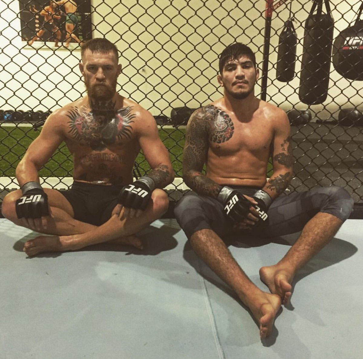 RT @dillondanis: 6 days. @TheNotoriousMMA https://t.co/wvk8aQGdJc