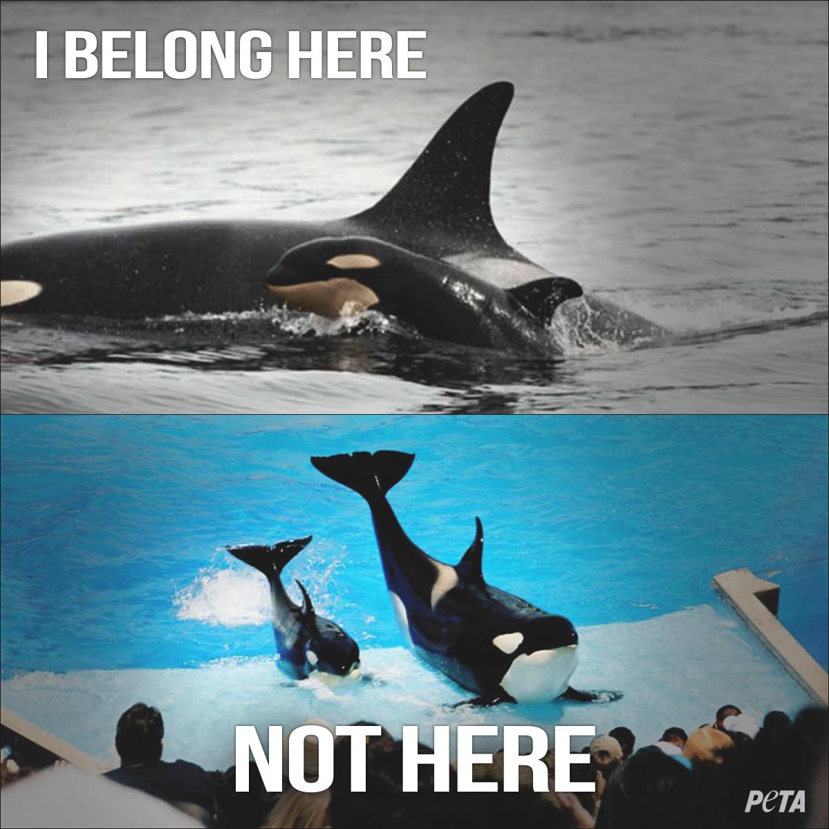 #EmptyTheTanks https://t.co/lx6Hq6TyxQ