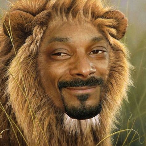 Happy #WorldLionDay ???? https://t.co/BvmKIUClhJ