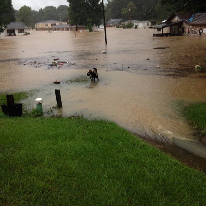 Breaking news on Crosby, MS, US
