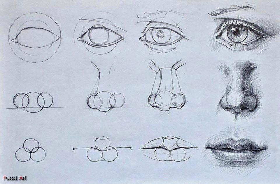 Рисовать части людей поэтапно Рисовать части людей поэтапно