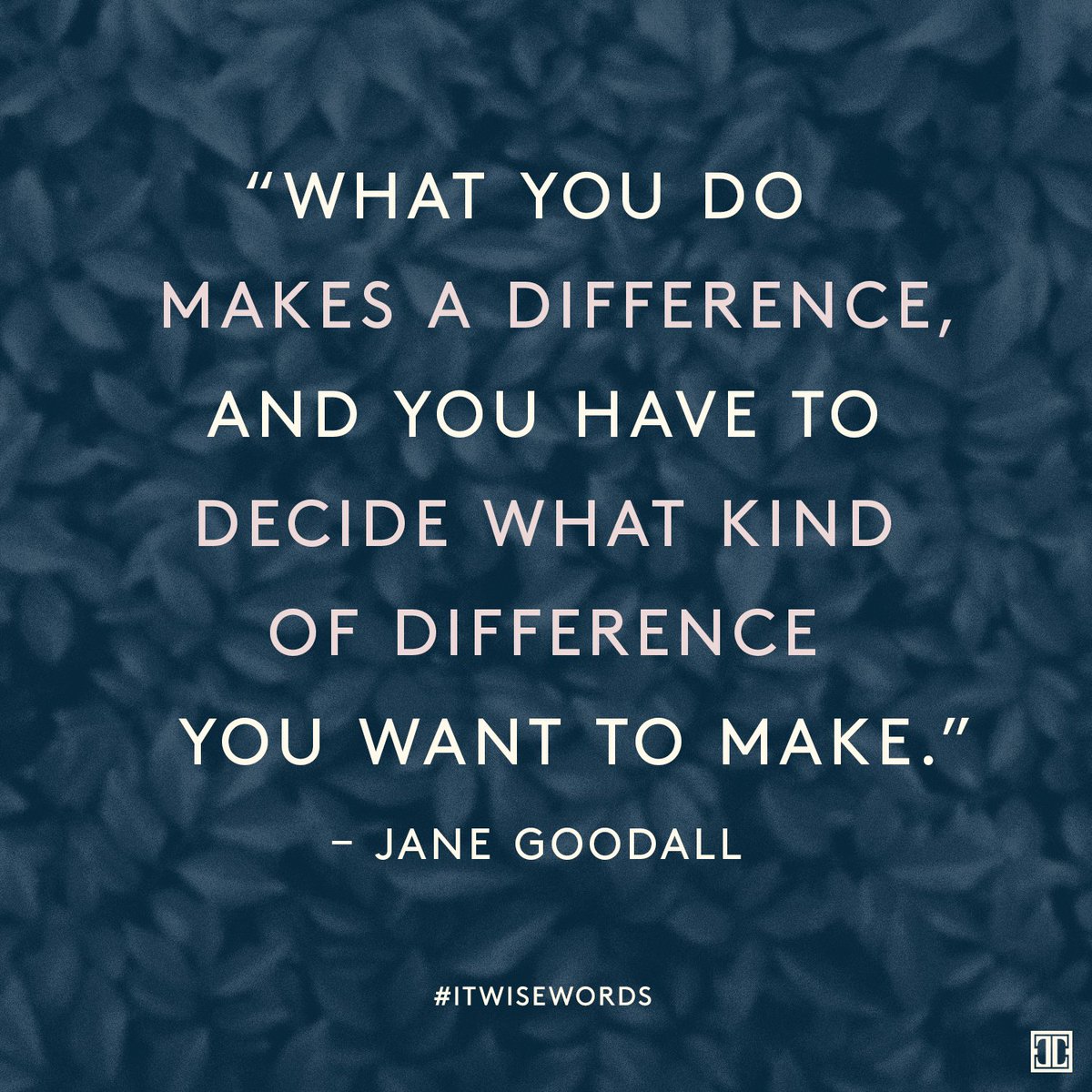 Use your power. #ITwisewords #wisewords #quote #inspiration #JaneGoodall https://t.co/I2pdVwOAyO https://t.co/2GtrDK7y01