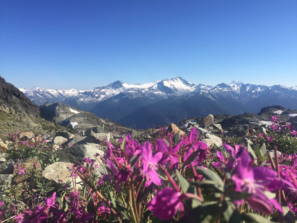 oh hey Whistler. yer pretty. #nofilter @FourSeasons https://t.co/PmSSCCqeNU