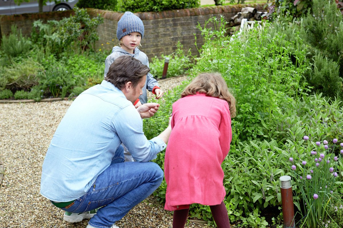 Guys take a tour inside my herb garden: https://t.co/NDKfxc28af https://t.co/Z5SSqyvF4V