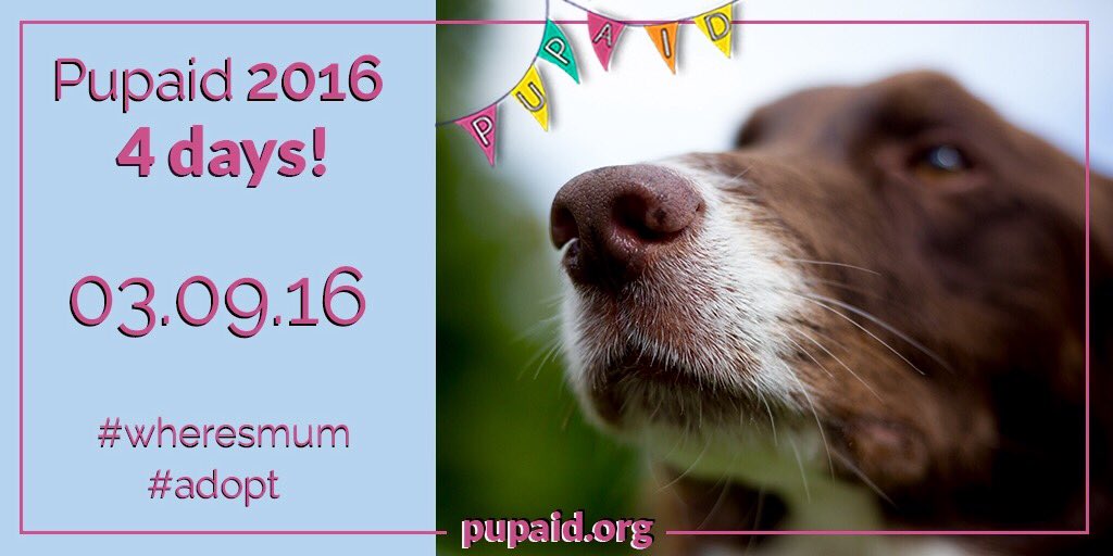 RT @pupaid: Only 4 days until #pupaid2016 fun dog show raising awareness about puppy farming & rescue pets :) #wheresmum #adopt https://t.c…