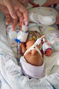 Did you know September is #NICUawarenessmonth? Get involved at https://t.co/1kSDE8LXOP! https://t.co/jL8ZDK69AK