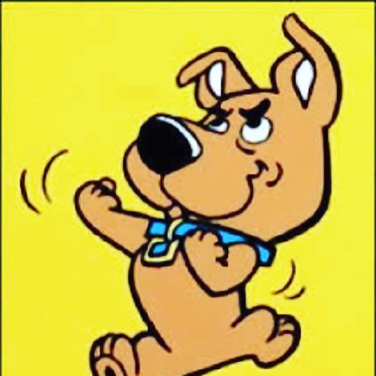 Scrappy do https://t.co/kWgYwrA8LI https://t.co/eR9deRdLKg