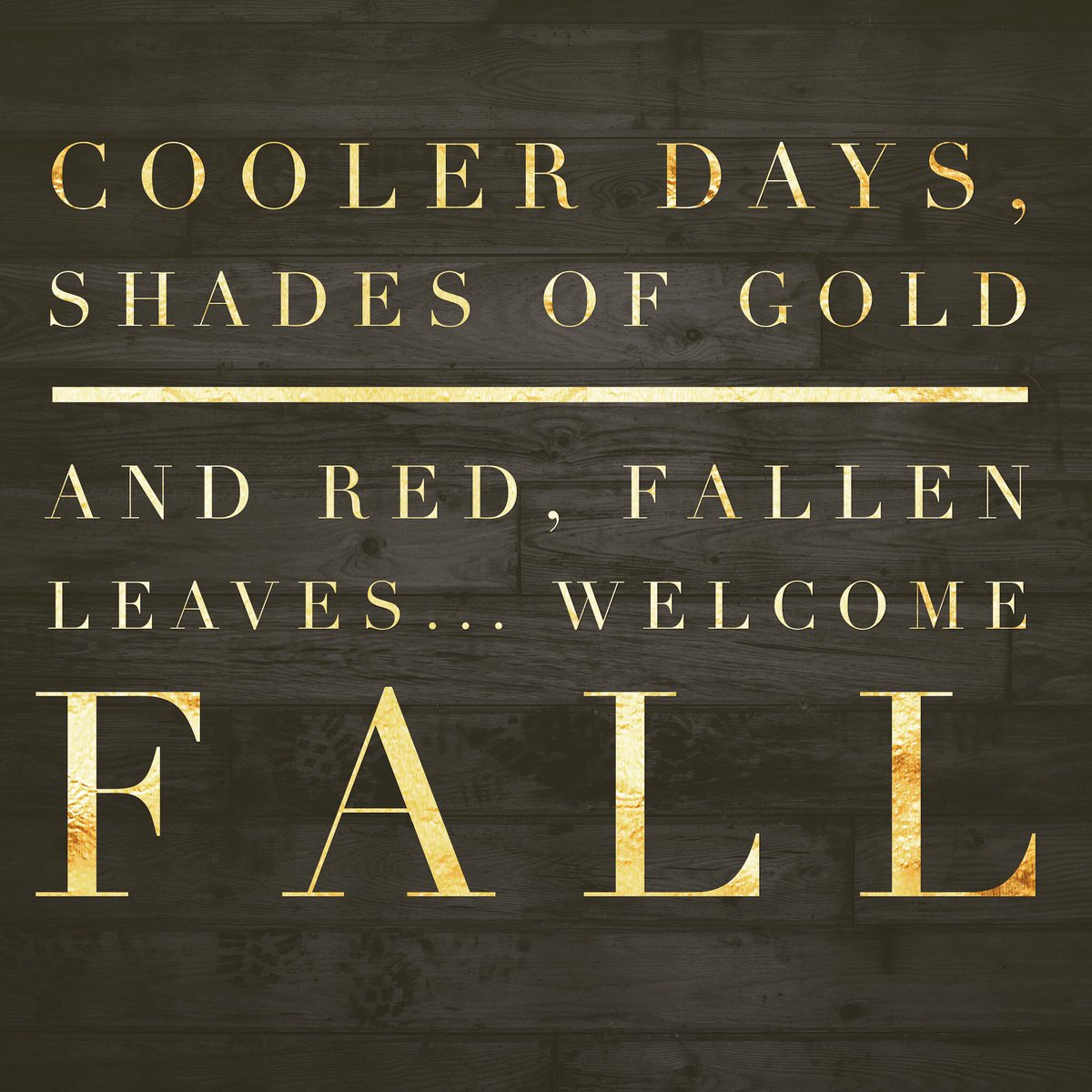 Welcome Fall... #FirstDayofFall #AutumnalEquinox #fall #welcomefall ???? https://t.co/rDlCpJkfgy