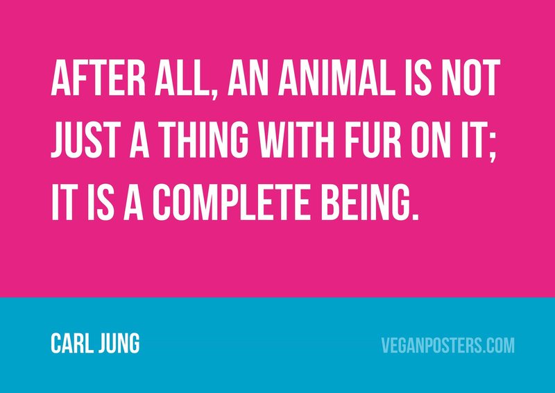 RT @veganposters: After all, an animal is not just a thing with fur on it; it is a complete being. - Carl Jung #vegan https://t.co/xA4mF8bj…