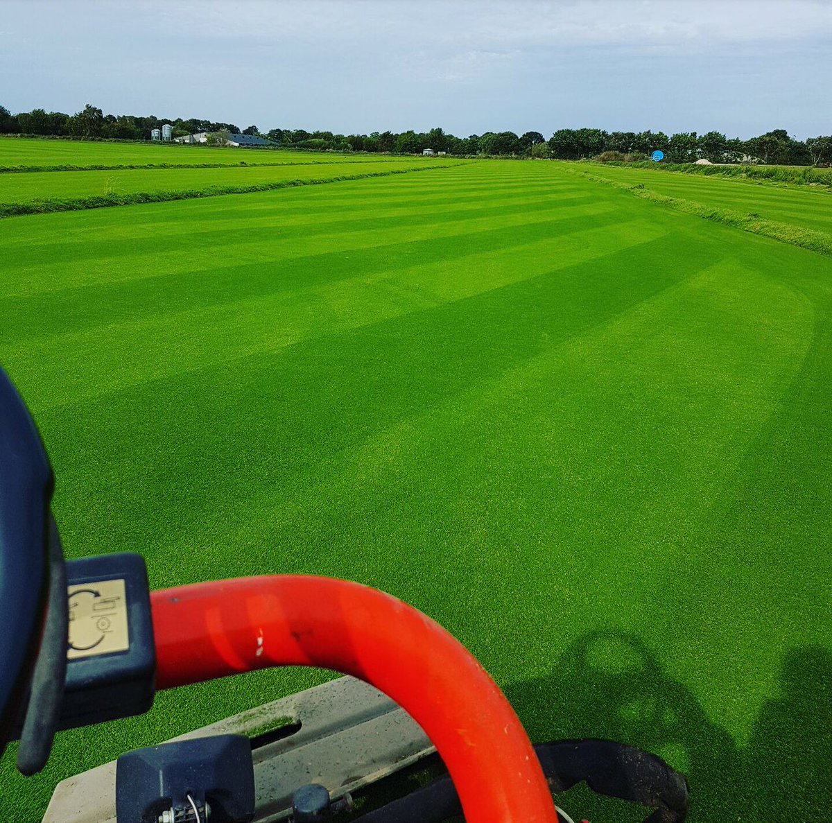 Tillers Tweet Image