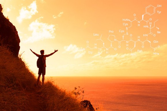 Research: Oxytocin Enhances Spirituality https://t.co/ApG00B5q4f #oxytocin #brain https://t.co/d14HrBVmye
