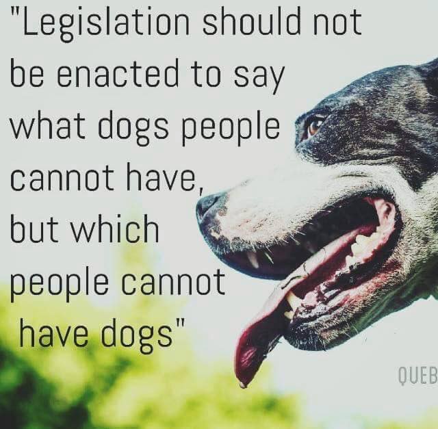 @JustinTrudeau Please ask Montreal to reconsider its ill-informed ban on #pitbulls. #BoycottMontreal https://t.co/c4IMC73pmv