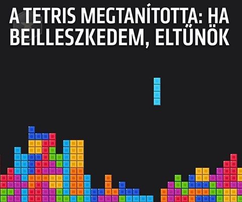Kép