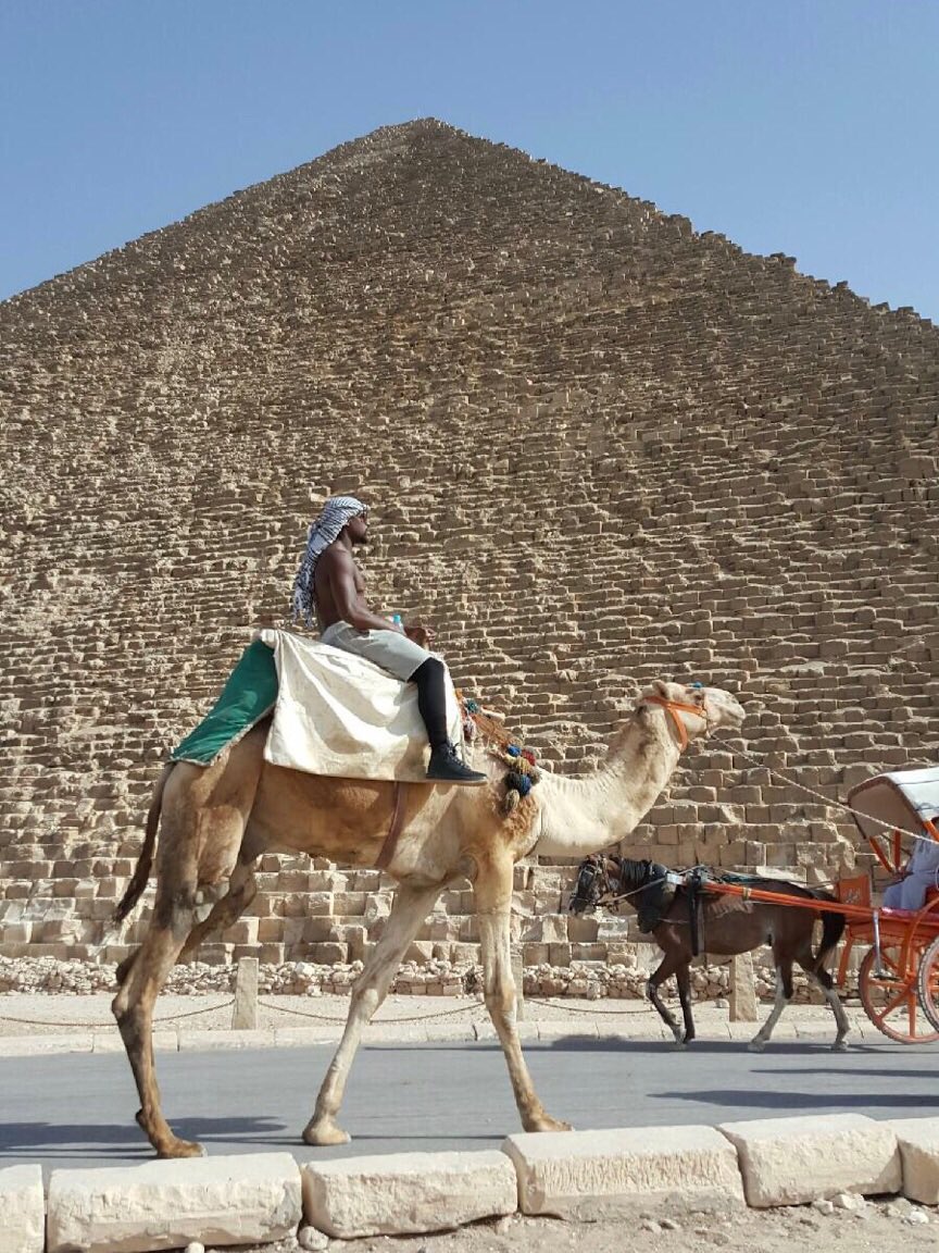 Cairo, Egypt #Africa #pyramids #camel https://t.co/J5tBHSSxxY