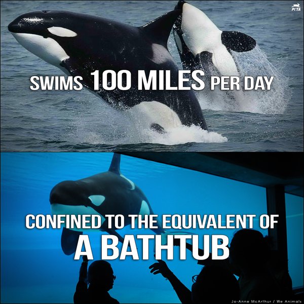 #EmptyTheTanks https://t.co/WoARL7g9ZH