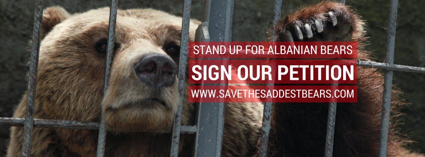 Let's #savethesaddestbears, please sign https://t.co/EBwUqeyX37 50 bears in Albania need us now! @fourpawsint https://t.co/5ccvvACFol