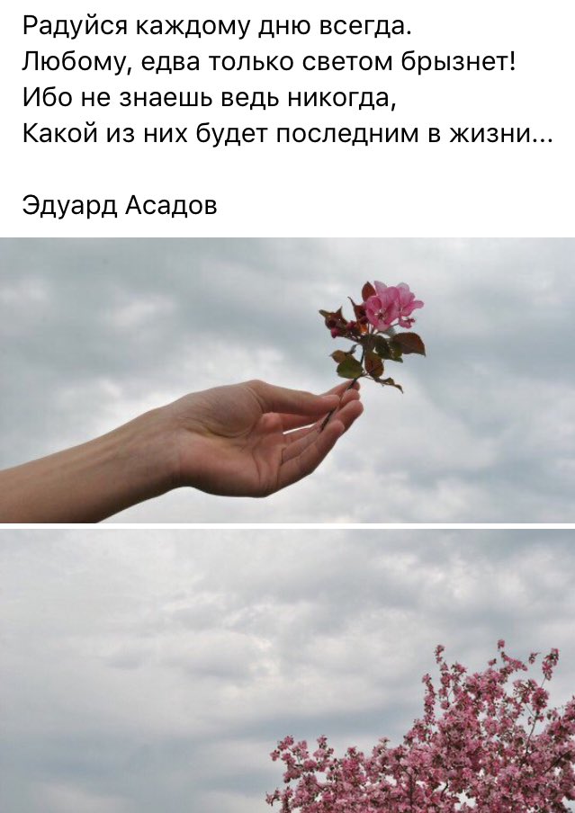 Ты меня радуешь с каждым днем Ты меня радуешь с каждым днем