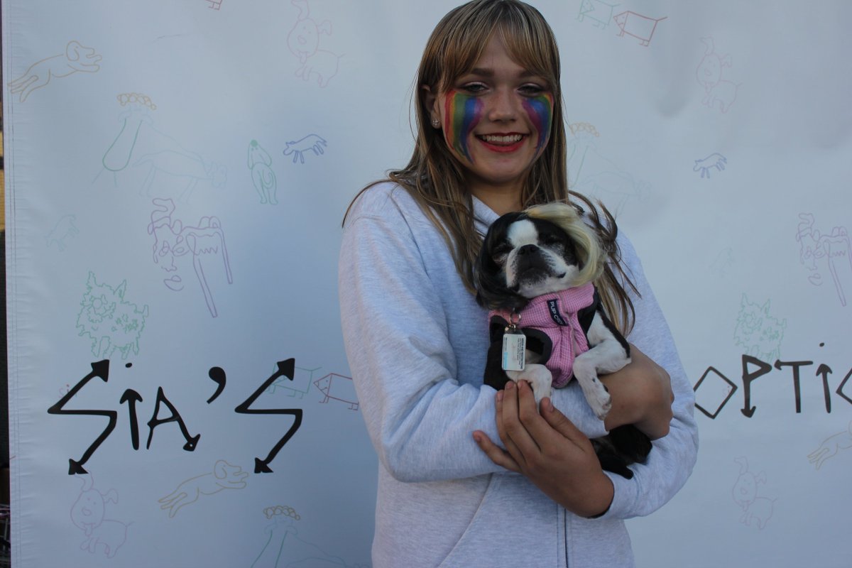 Thanks to everyone who's stopped by Sia's Dog Adoption on the #NostalgicForThePresentTour! - Team Sia https://t.co/rujR0XMmUT