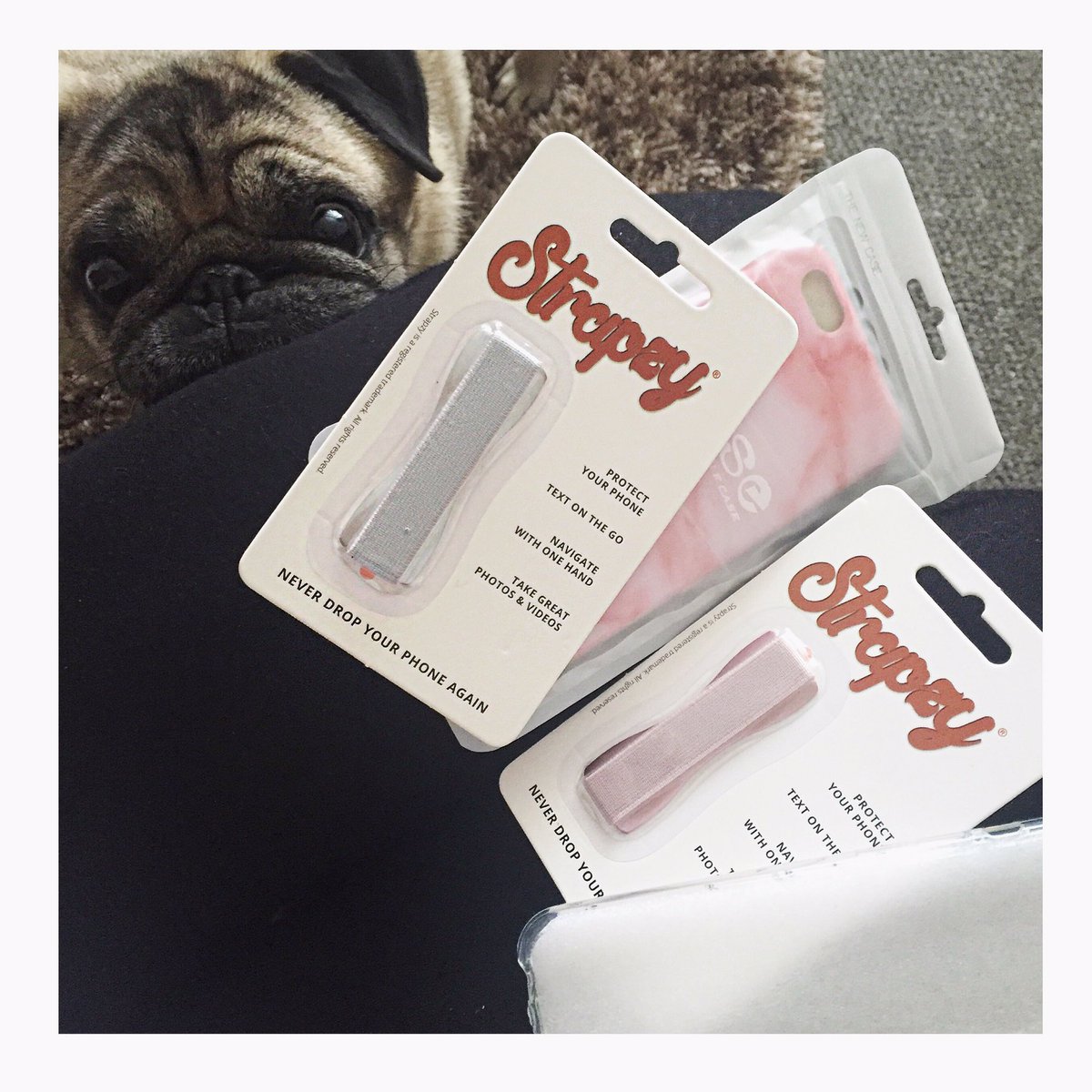 Me (and Colin) are pleased with my @strapzy_ delivery today!! ❤️???????????????? https://t.co/T0QC4792er
