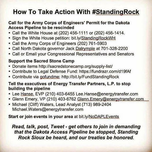 RT @xodanix3: Call, tell them you are seeing whats happening on the live feed and the world is watching! #NODAPL https://t.co/8BpfH2a98U