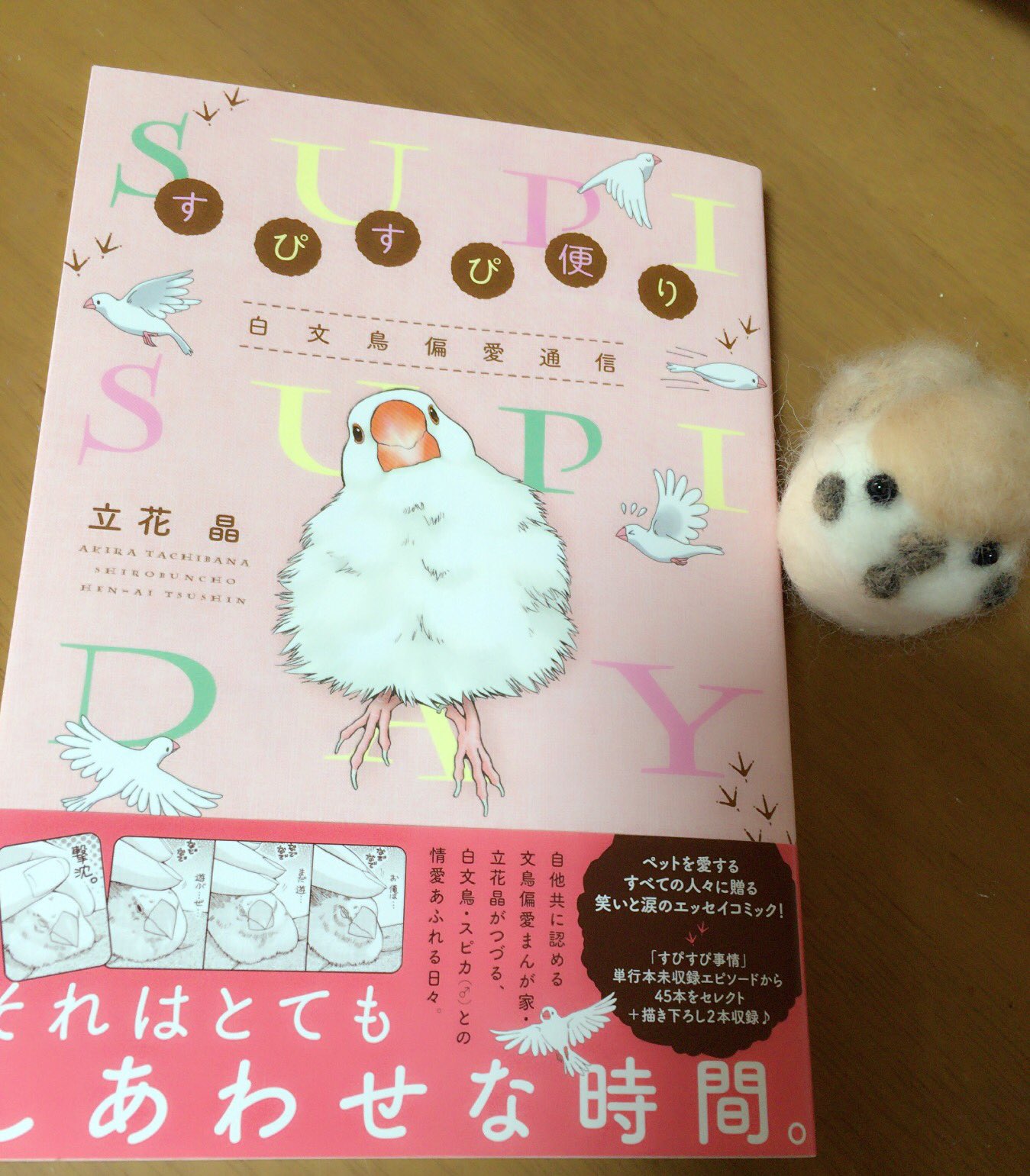 文鳥 In すぴすぴ頼り届いた ө 隠れファンだったもふもふ文鳥さん