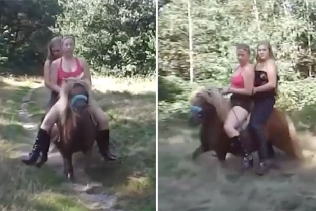 Web Cam Girls Probed Over Animal Cruelty For This Bizarre Sex Fetish Video Web Cam Girls Probed Over Animal Cruelty For This Bizarre Sex Fetish Video