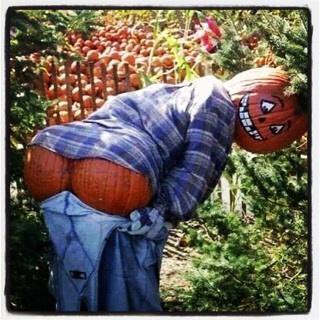 Shoutout to my homegirl Pumpkin. Happy Halloween! Tell Peaches I said what up... https://t.co/jTJ29fjLuL