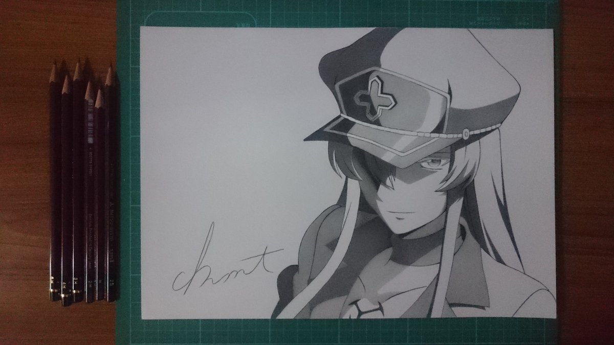 アカメが斬るのエスデス描きました!(初鉛筆ですw)#模写 #鉛筆画 #アカメが斬る#エスデス アカメが斬るのエスデス描きました!(初鉛筆ですw)#模写 #鉛筆画 #アカメが斬る#エスデス