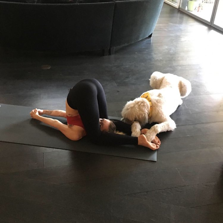 B-day yoga with Dora ???????????? https://t.co/TSWfgjh0FT