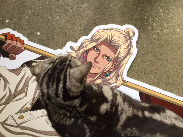 オー、こんなにたくさんのプリティなレディたち。 おいで、可愛い子猫ちゃんたち。オレのハグで温めてあげよう。(ジュニア)ジ オー、こんなにたくさんのプリティなレディたち。 おいで、可愛い子猫ちゃんたち。オレのハグで温めてあげよう。(ジュニア)ジ