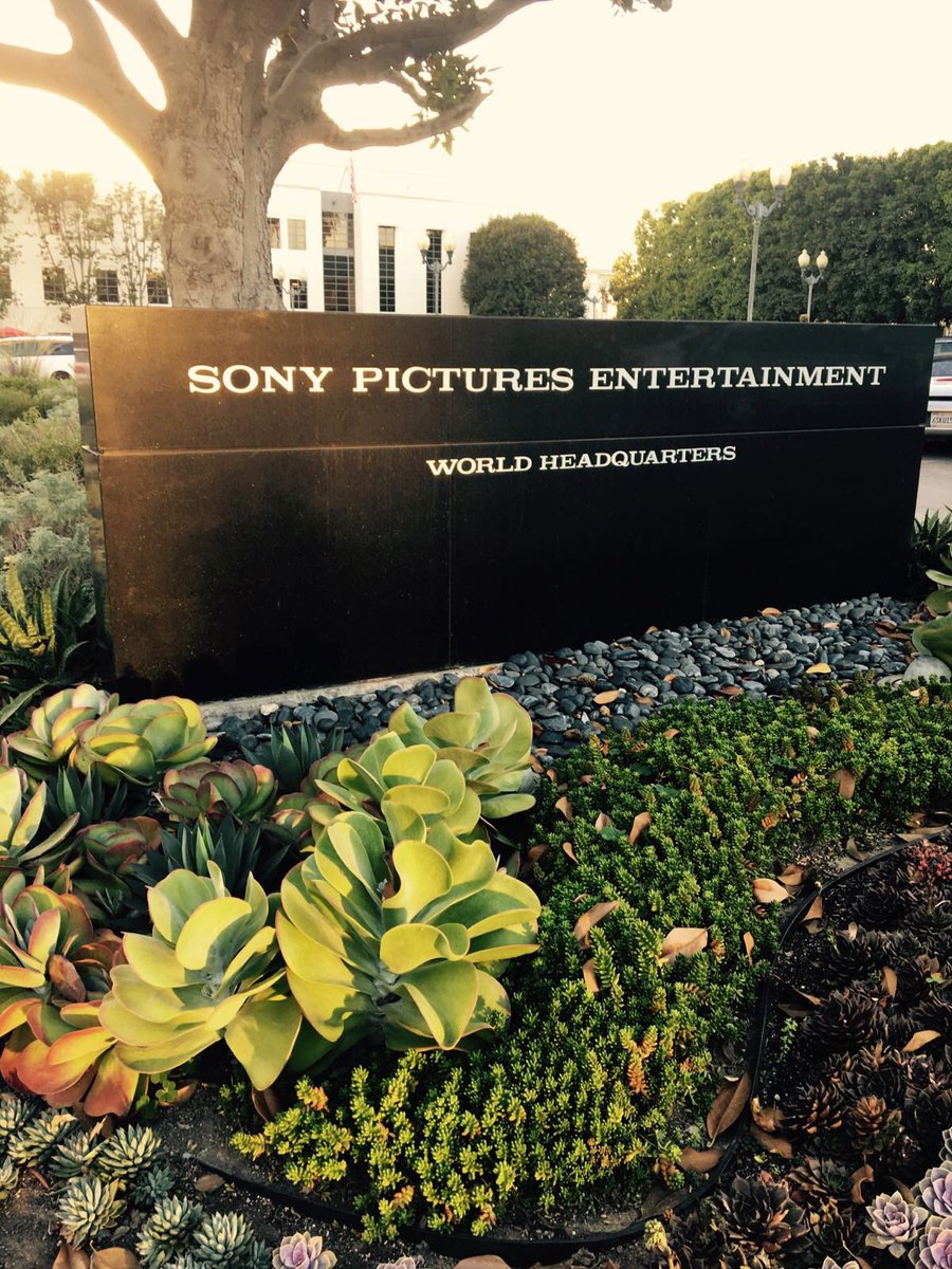 My Friday afternoon ???? @SonyPictures https://t.co/aefadJJmBF