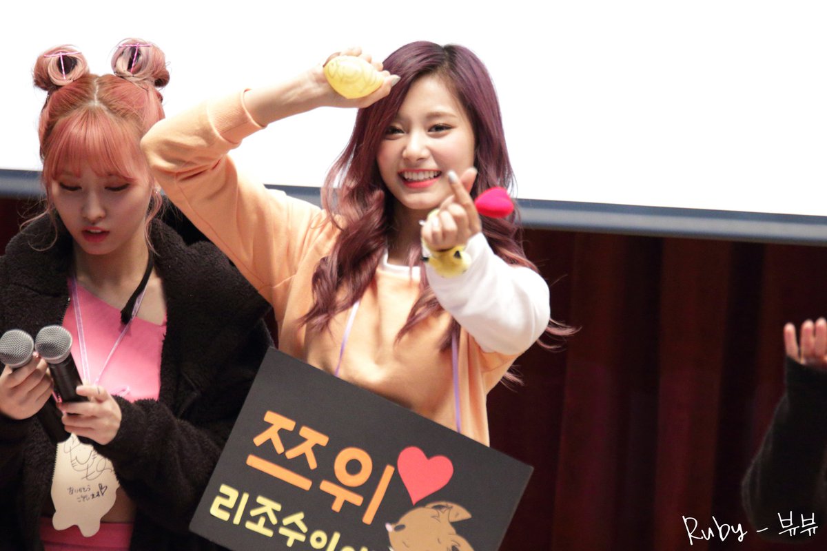 트와이스 TWICE 정연 모모 사나 홍키라 SANA Ruby_TaeSica