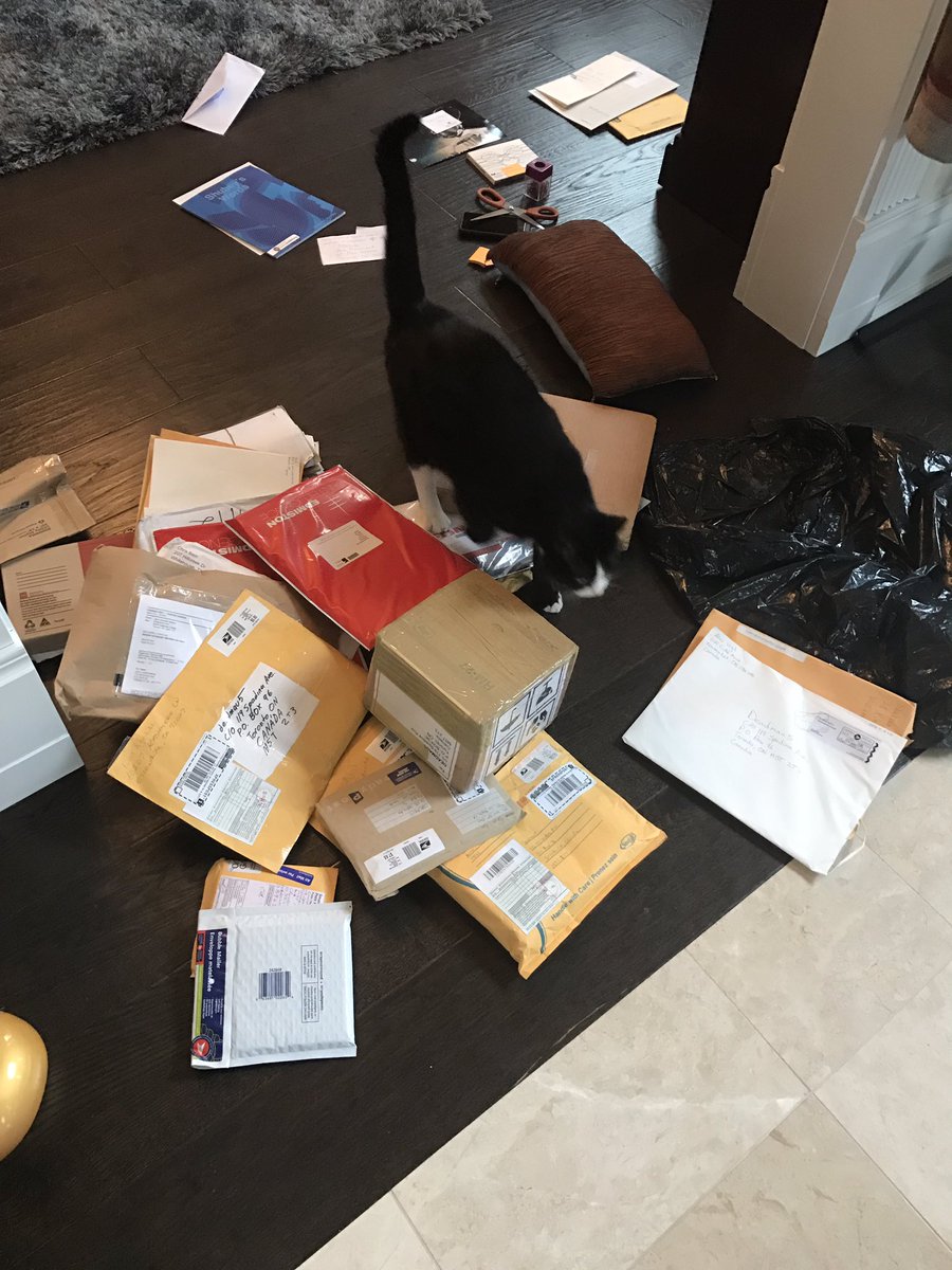 Okay! So if you sent fanmail back in 2014. We found it all! It's coming ;) meowingtons is on it, literally. https://t.co/Nd0UfUQfP1