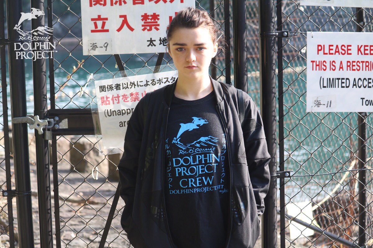 RT @Dolphin_Project: Taiji: @Maisie_Williams informs us it's a blue cove day! 

6.30am 2016.12.3
#DolphinProject https://t.co/Z8A8wkhUL7