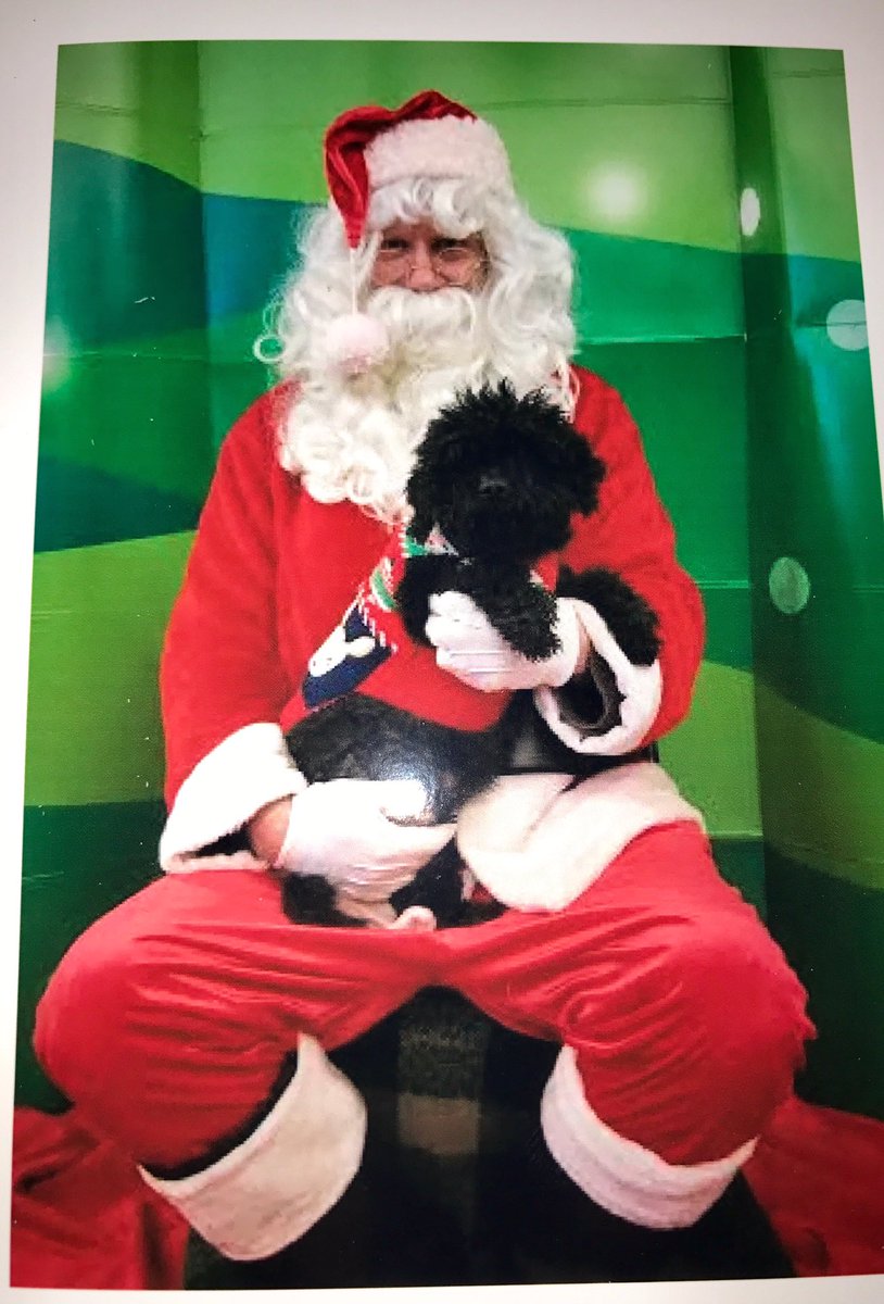 Took my dog yesterday to take a picture with santa ! ???? https://t.co/uCDkNVzE8n