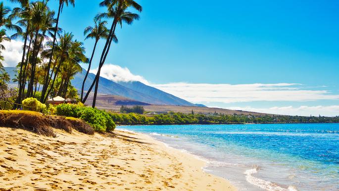 The real star of moana is the island of maui, with its dramatic