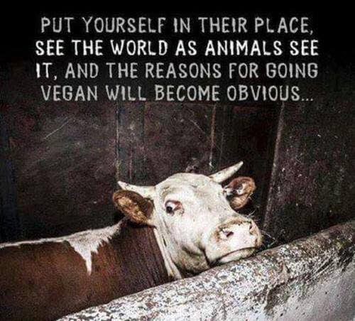 #vegan