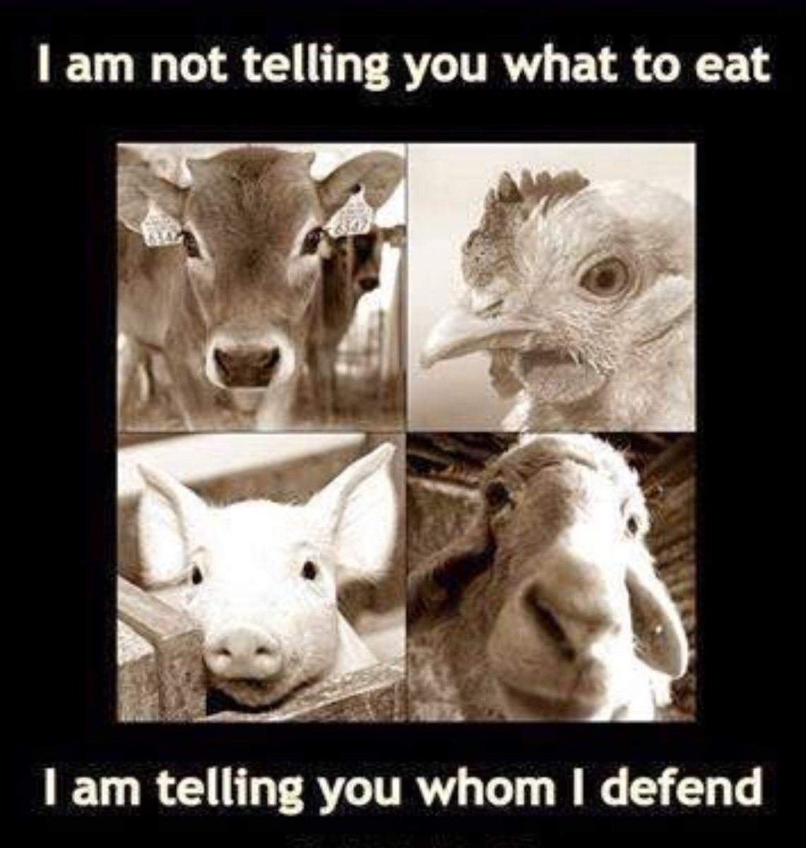 #vegan