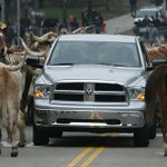 Fiat Chrysler picks CES, not Detroit auto show, for reveals