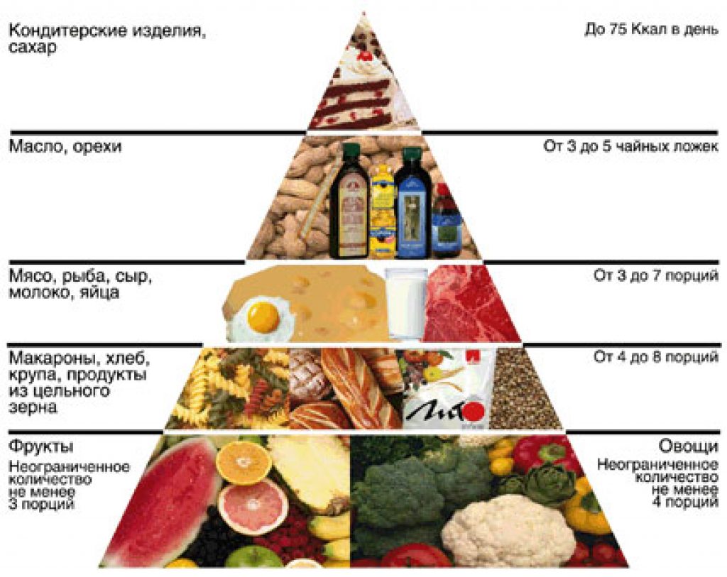 Схема Основы Правильного Питания