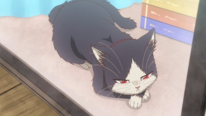 /お留守番のハル!📺第9話放送開始🐾\いつも家にいる素晴がでかけてしまい、少し寂しそうなハルの姿…。お留守番中の猫ちゃん /お留守番のハル!📺第9話放送開始🐾\いつも家にいる素晴がでかけてしまい、少し寂しそうなハルの姿…。お留守番中の猫ちゃん