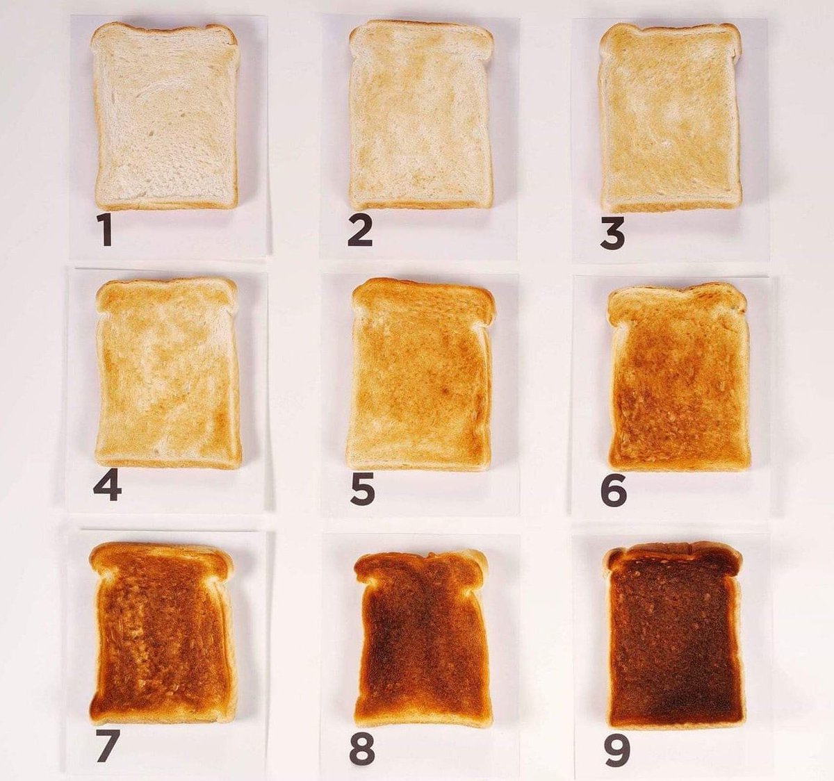 Best way to have your toast?

I’m going with 4 or 5 ????????‍♀️

#RandomBreadRelatedTweet https://t.co/JsHIqNVVko