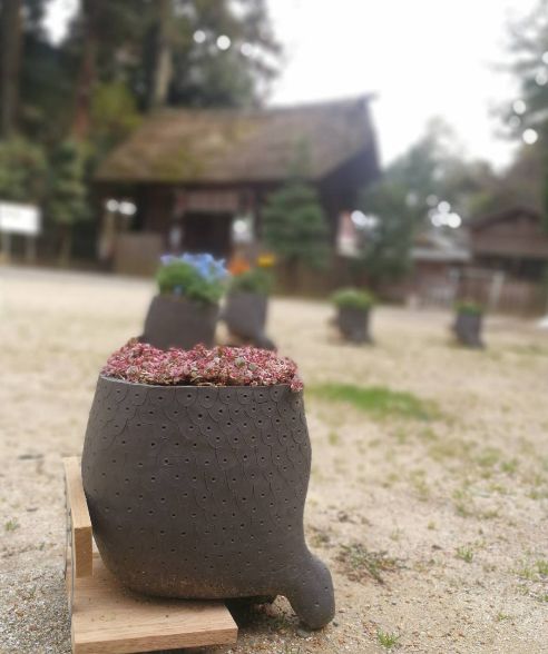 これを 手中に収める手立ては無い物か #トリックスター これを 手中に収める手立ては無い物か #トリックスター