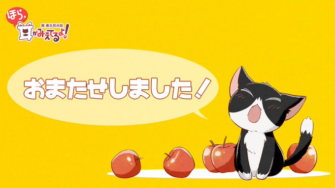 皆さまお久しぶりです😃❗️明日の朝10時に告知があります🤭✨お楽しみに❤️🐾#ほら耳 皆さまお久しぶりです😃❗️明日の朝10時に告知があります🤭✨お楽しみに❤️🐾#ほら耳