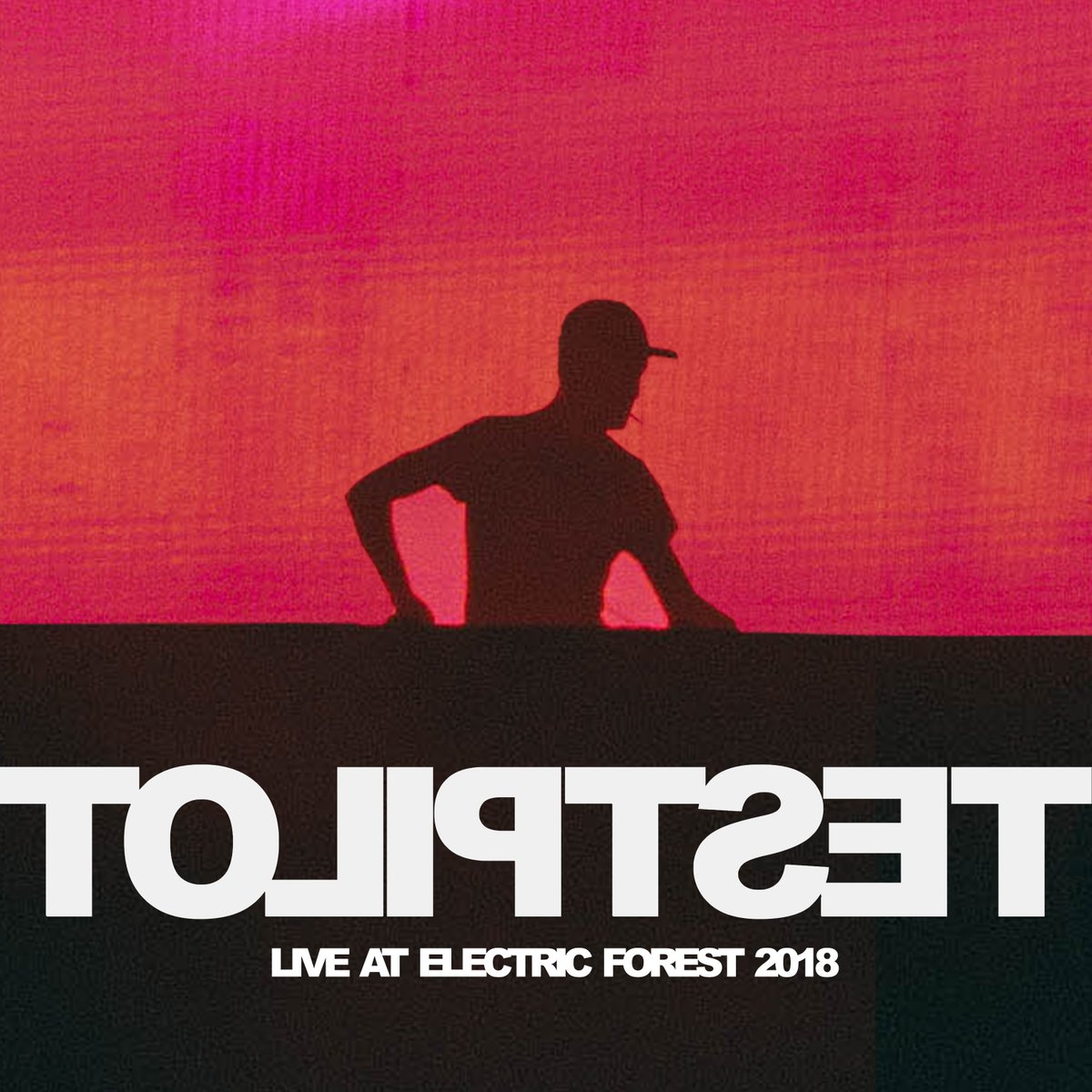 some @toliptset techno from the electric forest! https://t.co/6jRQNMoF7o https://t.co/9olKONE8W1