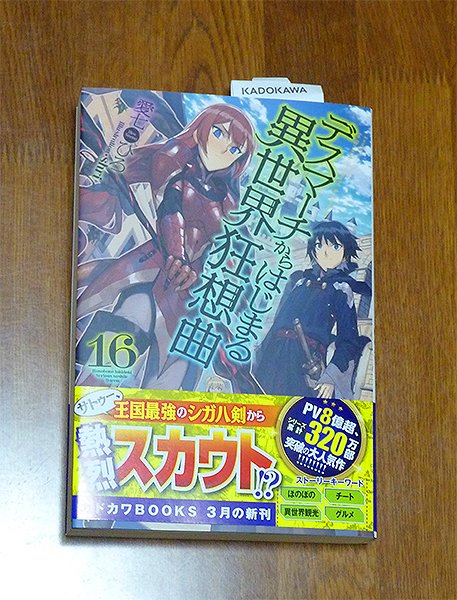 「デスマーチからはじまる異世界狂想曲16巻」愛七ひろ先生(著)shri先生(イラスト)やっと手元に……! リザが好きなの 「デスマーチからはじまる異世界狂想曲16巻」愛七ひろ先生(著)shri先生(イラスト)やっと手元に……! リザが好きなの