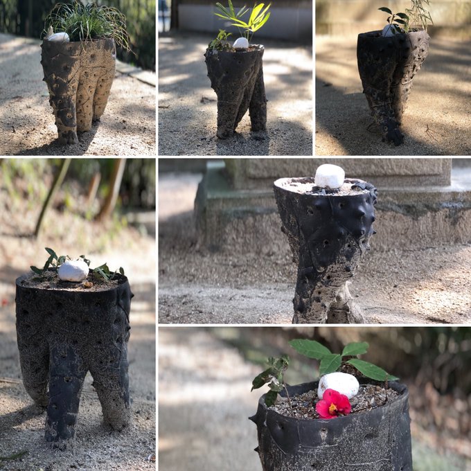 境内はランウェイ( ・∇・)気分はパリコレw#トリックスター#間の祭り#常陸国総社宮 境内はランウェイ( ・∇・)気分はパリコレw#トリックスター#間の祭り#常陸国総社宮