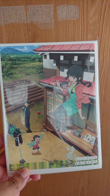 いまさらだけど買っちゃった#ふらいんぐうぃっち いまさらだけど買っちゃった#ふらいんぐうぃっち